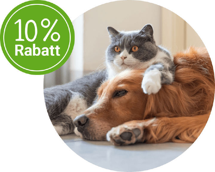 startseite newsletterbubble 10 haustier startseite newsletterbubble 10 haustier